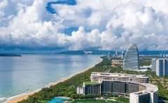 永春佛手属于铁观音吗?