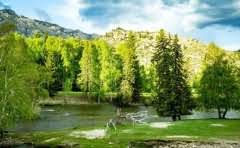 电缆线3+1和4芯什么区别?