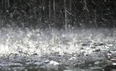 青海料翠青什么档次无事牌?