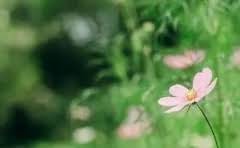 汕头离东山县有多远?