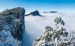 大众朗逸的原装火花塞是什么材质?