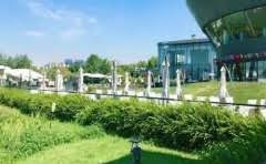 陶壶与紫砂壶的区别?