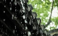 熟料酿酒和生料酿酒哪个好?