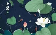 农村大门实木好还是铝合金好?