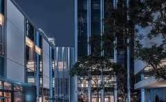 黑色榴莲是什么品种?