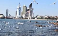 阿登战役德军赢了会怎么样吗?